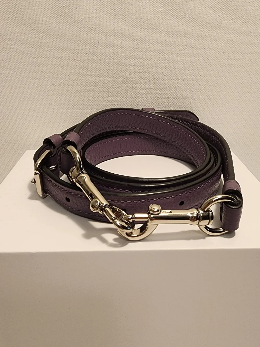 Coach Replacement Strap